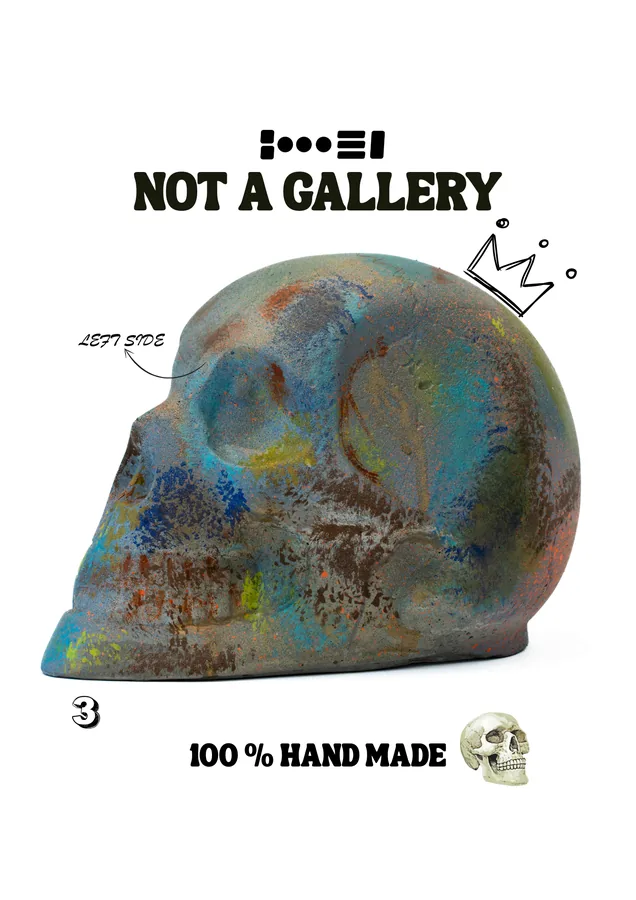 Skull Full — view 4