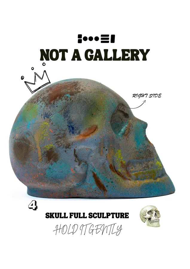 Skull Full — view 5