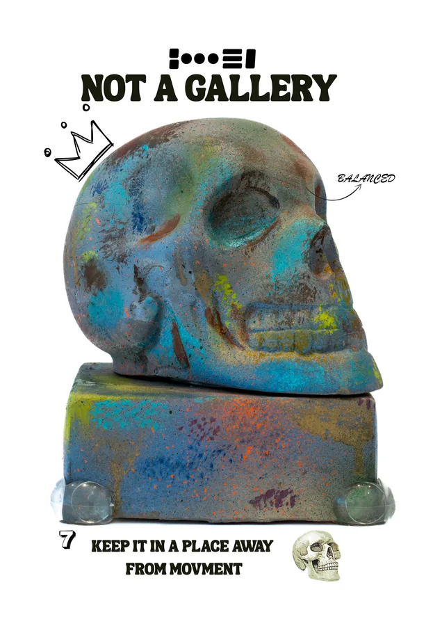 Skull Full — view 8